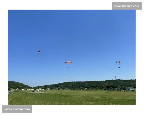 逐风蓝天竞技梦想全国滑翔伞精英挑战赛巅峰对决荣耀启航盛会 - 副本 (15) - 副本 - 副本